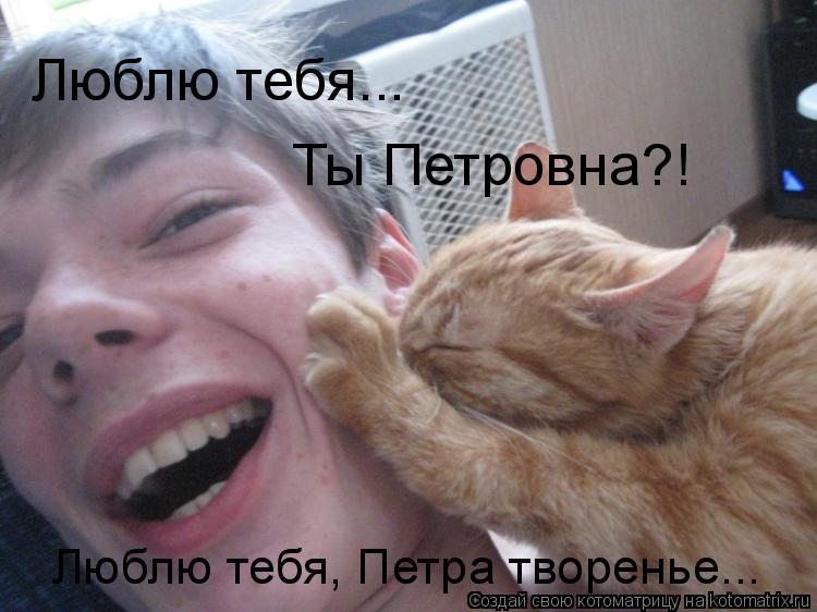 Котоматрица: Люблю тебя...  Ты Петровна?! Люблю тебя, Петра творенье...