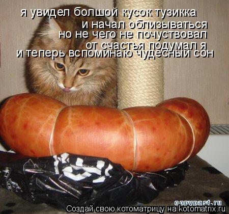 Котоматрица: я увидел болшой кусок тузикка и начал облизываться но не чего не почуствовал от счастья подумал я и теперь вспоминаю чудесный сон