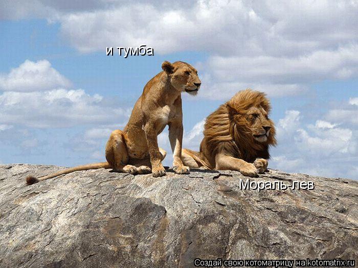 Котоматрица: Мораль-лев и тумба