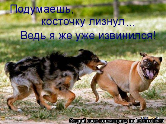 Котоматрица: Подумаешь,  косточку лизнул Ведь я же уже извинился! ...