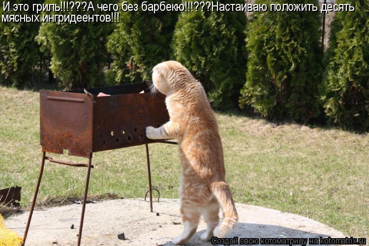 Котоматрица: И это гриль!!!???А чего без барбекю!!!???Настаиваю положить десять мясных ингридеентов!!!
