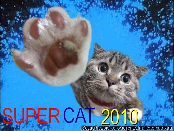 Котоматрица: SUPER CAT 2010