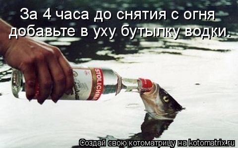 За 4 часа до снятия с огня добавьте в уху бутылку водки.... Котоматрица: За 4 часа до снятия с огня добавьте в уху бутылку водки.