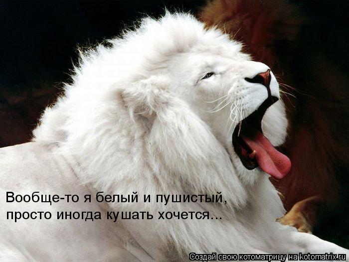 Котоматрица: Вообще-то я белый и пушистый, просто иногда кушать хочется...