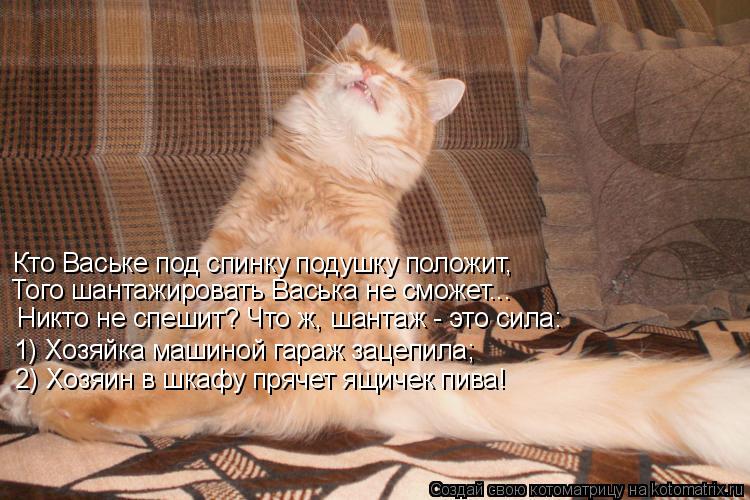 Кто Ваське под спинку подушку положит, Того шантажировать Васька не сможет... Никто не спешит? Что ж,... Котоматрица: Кто Ваське под спинку подушку положит, Того шантажировать Васька не сможет... Никто не спешит? Что ж, шантаж - это сила: 1) Хозяйка машиной гара