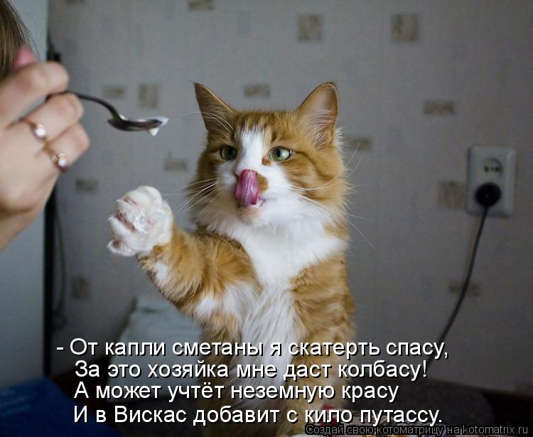 А может учтёт неземную красу За это хозяйка мне даст колбасу! - От капли сметаны я скатерть спасу, И ... Котоматрица: А может учтёт неземную красу За это хозяйка мне даст колбасу! - От капли сметаны я скатерть спасу, И в Вискас добавит с кило путассу.
