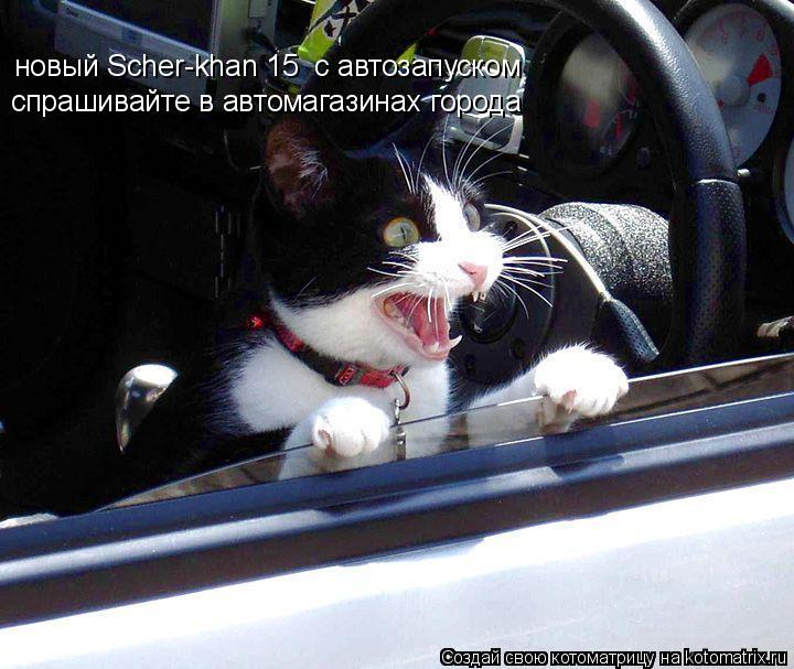 новый Scher-khan 15 с автозапуском спрашивайте в автомагазинах города... Котоматрица: новый Scher-khan 15 с автозапуском спрашивайте в автомагазинах города