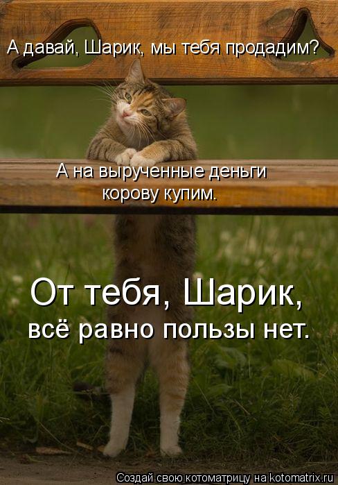 А давай, Шарик, мы тебя продадим? А на вырученные деньги корову купим. От тебя, Шарик, всё равно поль... Котоматрица: А давай, Шарик, мы тебя продадим? А на вырученные деньги корову купим. От тебя, Шарик, всё равно пользы нет.