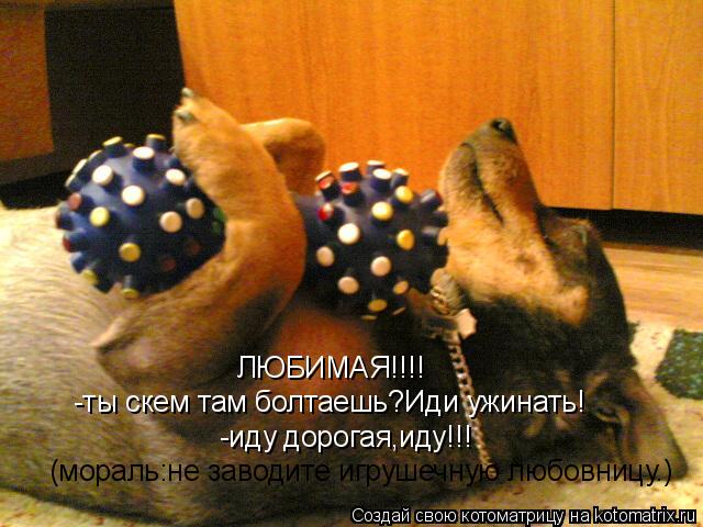 ЛЮБИМАЯ!!!! -ты скем там болтаешь?Иди ужинать! -иду дорогая,иду!!! (мораль:не заводите игрушечную люб... Котоматрица: ЛЮБИМАЯ!!!! -ты скем там болтаешь?Иди ужинать! -иду дорогая,иду!!! (мораль:не заводите игрушечную любовницу.)
