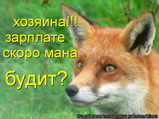 хозяина!!! зарплате скоро мана будит?... Котоматрица: хозяина!!! зарплате скоро мана будит?