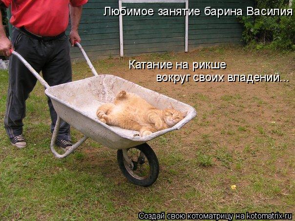 Любимое занятие барина Василия Катание на рикше вокруг своих владений...... Котоматрица: Любимое занятие барина Василия Катание на рикше вокруг своих владений...