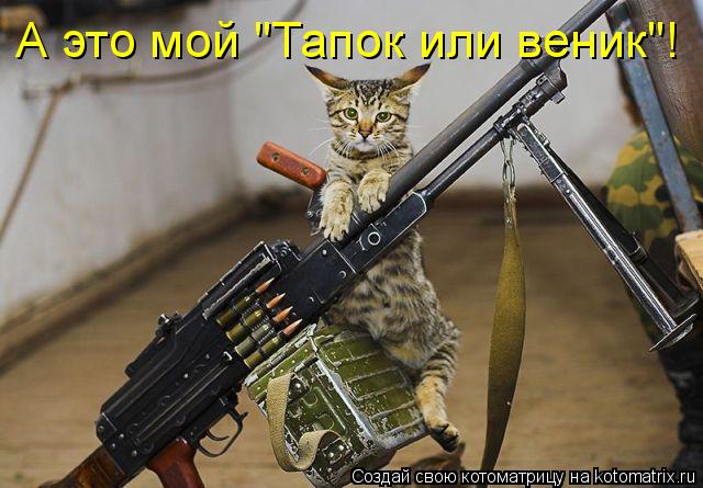 А это мой "Тапок или веник"!... Котоматрица: А это мой "Тапок или веник"!