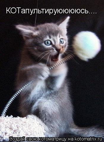 КОТапультируююююсь....... Котоматрица: КОТапультируююююсь....