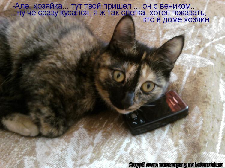 -Але, хозяйка... тут твой пришел ... он с веником... ...ну че сразу кусался, я ж так слегка, хотел п... Котоматрица: -Але, хозяйка... тут твой пришел ... он с веником... ...ну че сразу кусался, я ж так слегка, хотел показать, кто в доме хозяин