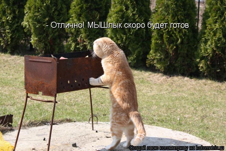 - Отлично! МЫШлык скоро будет готов... Котоматрица: - Отлично! МЫШлык скоро будет готов