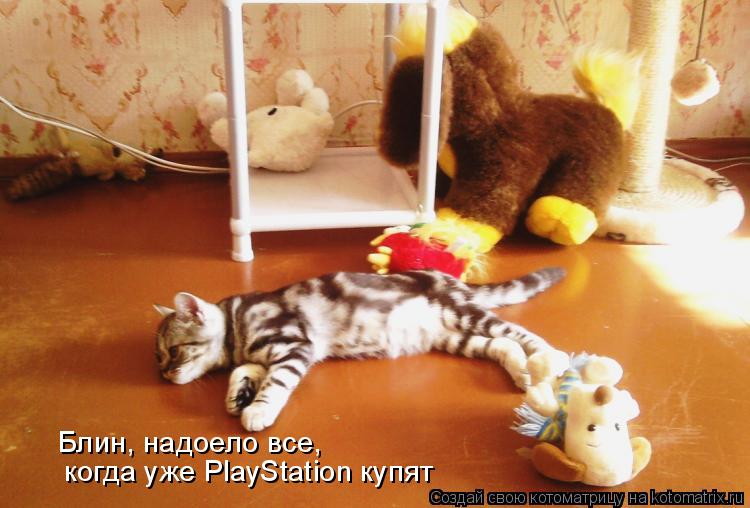 Блин, надоело все, когда уже PlayStation купят... Котоматрица: Блин, надоело все, когда уже PlayStation купят