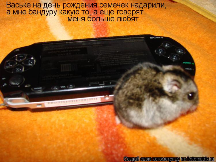Ваське на день рождения семечек надарили, а мне бандуру какую то, а еще говорят меня больше любят... Котоматрица: Ваське на день рождения семечек надарили, а мне бандуру какую то, а еще говорят меня больше любят