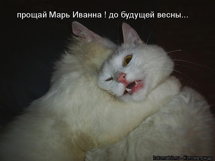 прощай Марь Иванна ! до будущей весны...... Котоматрица: прощай Марь Иванна ! до будущей весны...