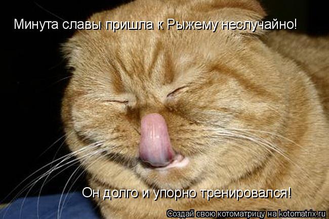 Минута славы пришла к Рыжему неслучайно! Он долго и упорно тренировался!... Котоматрица: Минута славы пришла к Рыжему неслучайно! Он долго и упорно тренировался!