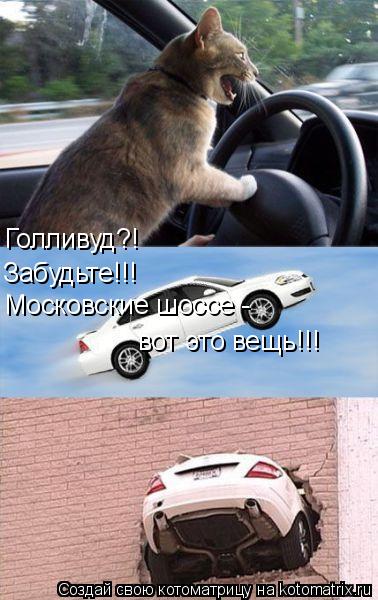 Голливуд?! Забудьте!!! Московские шоссе - вот это вещь!!!... Котоматрица: Голливуд?! Забудьте!!! Московские шоссе - вот это вещь!!!