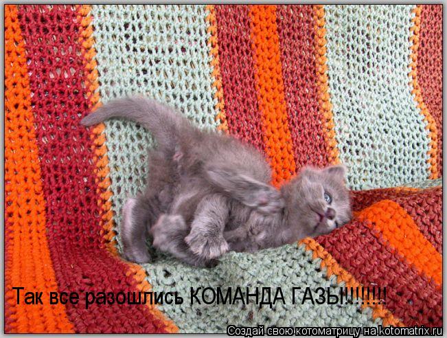 Так все разошлись КОМАНДА ГАЗЫ!!!!!!!!... Котоматрица: Так все разошлись КОМАНДА ГАЗЫ!!!!!!!!