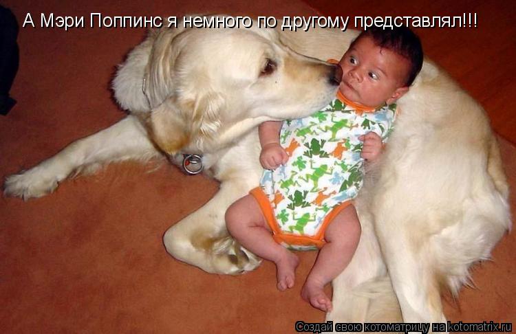 А Мэри Поппинс я немного по другому представлял!!!... Котоматрица: А Мэри Поппинс я немного по другому представлял!!!