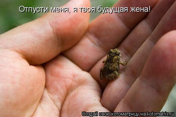 Отпусти меня, я твоя будущая жена!... Котоматрица: Отпусти меня, я твоя будущая жена!