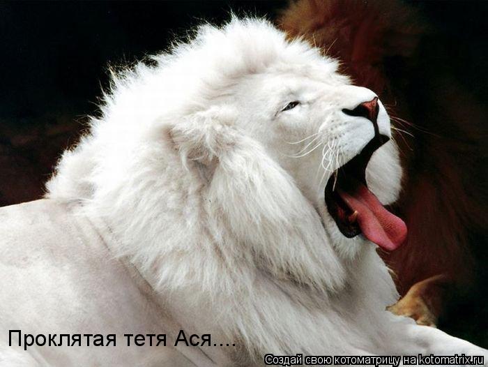Проклятая тетя Ася....... Котоматрица: Проклятая тетя Ася....