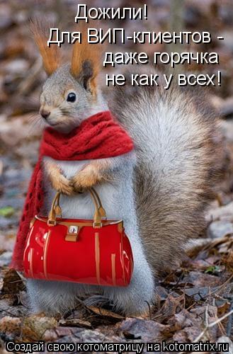Котоматрица: Дожили! Для ВИП-клиентов -  даже горячка не как у всех!