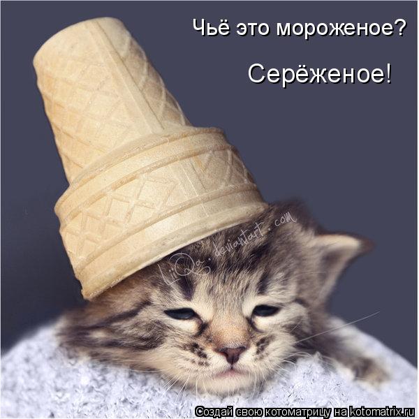 Чьё это мороженое? Серёженое!... Котоматрица: Чьё это мороженое? Серёженое!