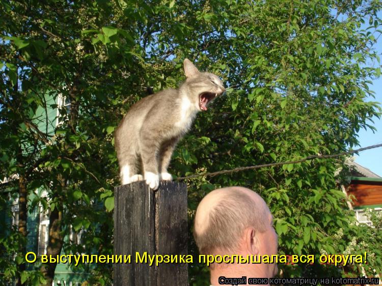 О выступлении Мурзика прослышала вся округа!... Котоматрица: О выступлении Мурзика прослышала вся округа!