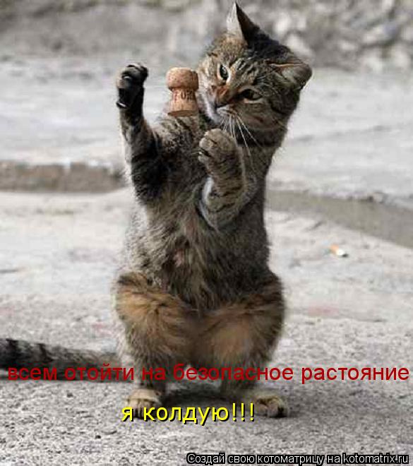 всем отойти на безопасное растояние! я колдую!!!... Котоматрица: всем отойти на безопасное растояние! я колдую!!!