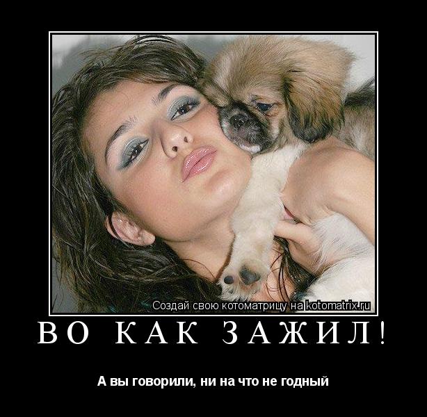 Котоматрица: Во как зажил! А вы говорили, ни на что не годный