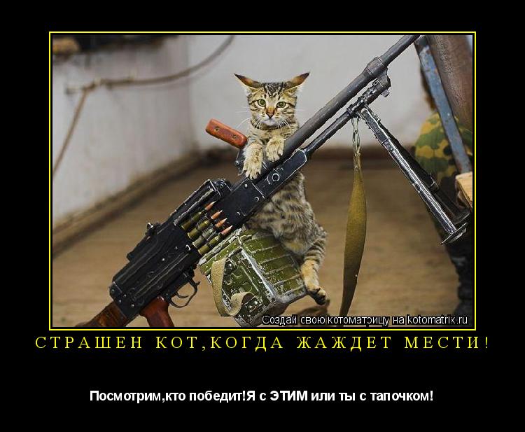 Котоматрица: Страшен кот,когда жаждет мести! Посмотрим,кто победит!Я с ЭТИМ или ты с тапочком!
