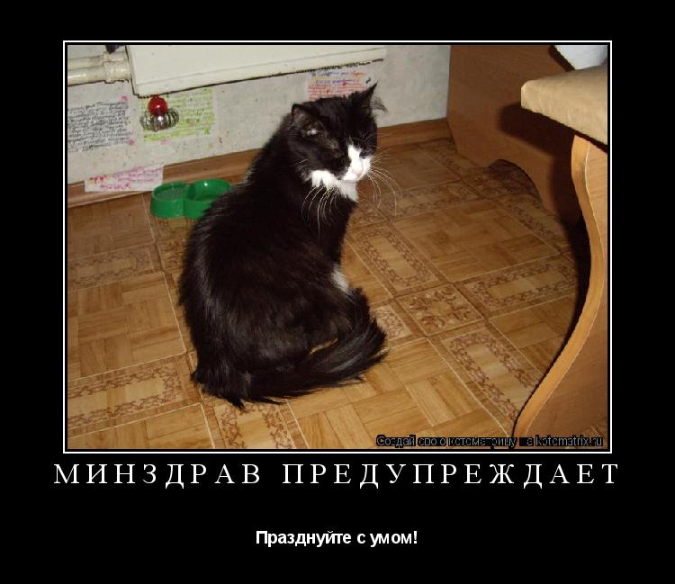 Котоматрица: Минздрав предупреждает Празднуйте с умом!