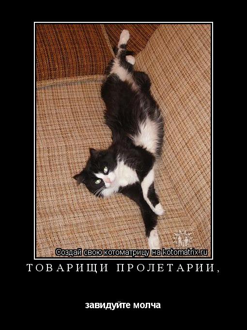 Котоматрица: Товарищи пролетарии, завидуйте молча