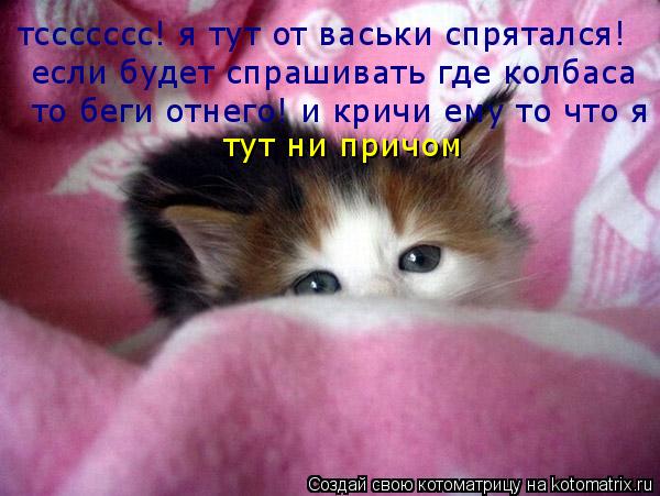 тссссссс! я тут от васьки спрятался! если будет спрашивать где колбаса то беги отнего! и кричи ему ... Котоматрица: тссссссс! я тут от васьки спрятался! если будет спрашивать где колбаса то беги отнего! и кричи ему то что я тут ни причом
