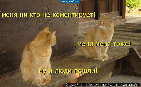 меня ни кто не коментирует! меня меня тоже! ну и люди пошли!... Котоматрица: меня ни кто не коментирует! меня меня тоже! ну и люди пошли!
