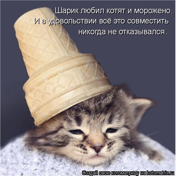 Шарик любил котят и морожено И в удовольствии всё это совместить никогда не отказывался . .... Котоматрица: Шарик любил котят и морожено И в удовольствии всё это совместить никогда не отказывался . .