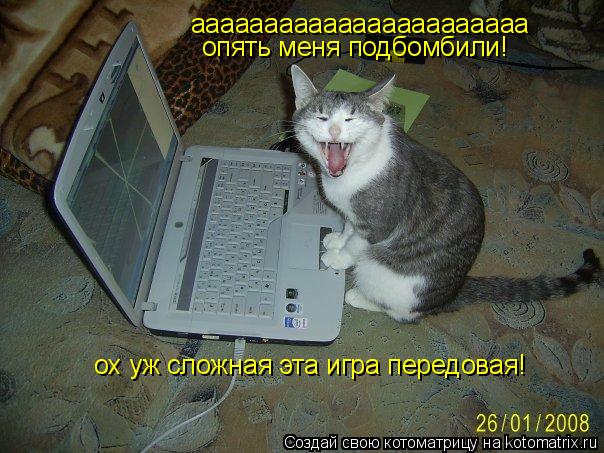 ааааааааааааааааааааааа опять меня подбомбили! ох уж сложная эта игра передовая!... Котоматрица: ааааааааааааааааааааааа опять меня подбомбили! ох уж сложная эта игра передовая!