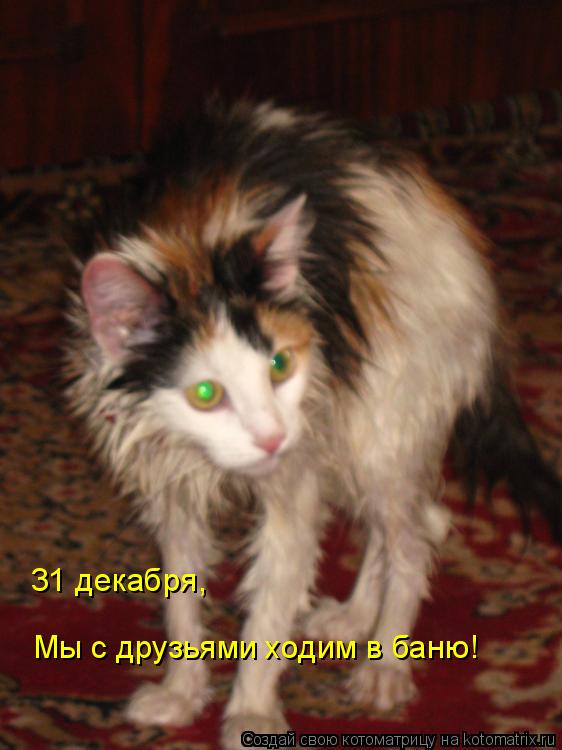 31 декабря, Мы с друзьями ходим в баню!... Котоматрица: 31 декабря, Мы с друзьями ходим в баню!