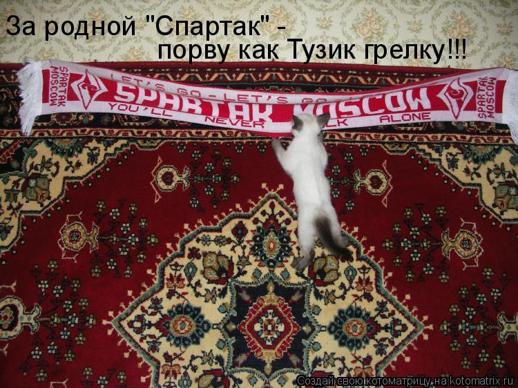 За родной "Спартак" - порву как Тузик грелку!!!... Котоматрица: За родной "Спартак" - порву как Тузик грелку!!!