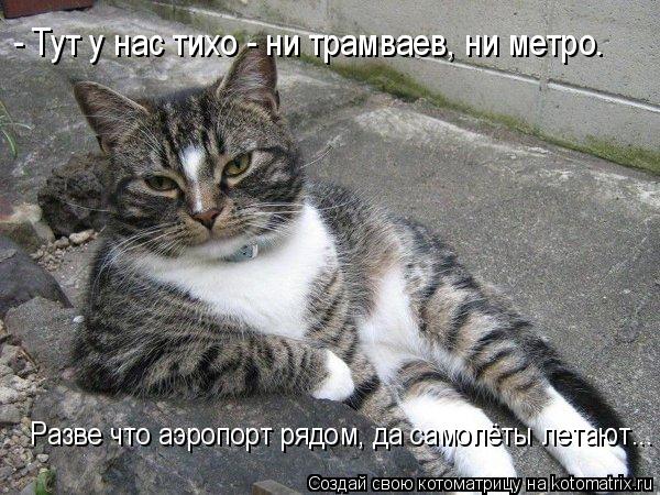 Разве что аэропорт рядом, да самолёты летают... - Тут у нас тихо - ни трамваев, ни метро.... Котоматрица: Разве что аэропорт рядом, да самолёты летают... - Тут у нас тихо - ни трамваев, ни метро.