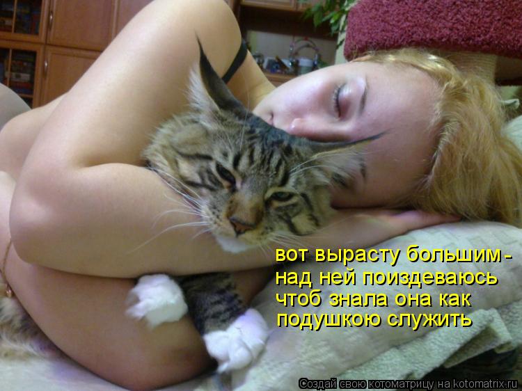 вот вырасту большим над ней поиздеваюсь чтоб знала она как подушкою служить -... Котоматрица: вот вырасту большим над ней поиздеваюсь чтоб знала она как подушкою служить -