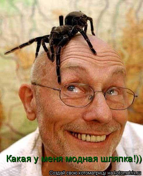 Какая у меня модная шляпка!))... Котоматрица: Какая у меня модная шляпка!))