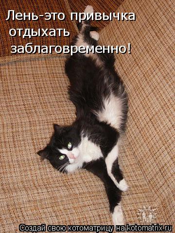 Лень-это привычка отдыхать заблаговременно!... Котоматрица: Лень-это привычка отдыхать заблаговременно!