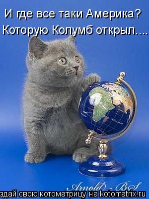 Котоматрица: И где все таки Америка? Которую Колумб открыл....