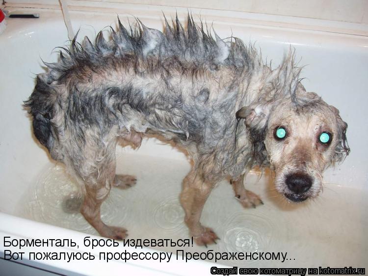 Котоматрица: Борменталь, брось издеваться! Вот пожалуюсь профессору Преображенскому...