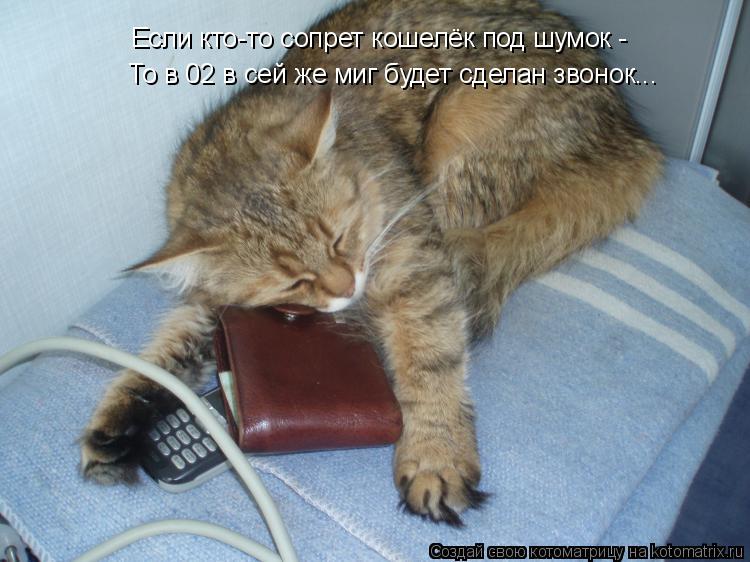 Котоматрица: Если кто-то сопрет кошелёк под шумок - То в 02 в сей же миг будет сделан звонок...