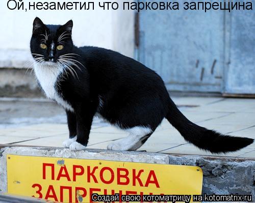 Котоматрица: Ой,незаметил что парковка запрещина Ой,незаметил что парковка запрещина Ой,незаметил что парковка запрещина